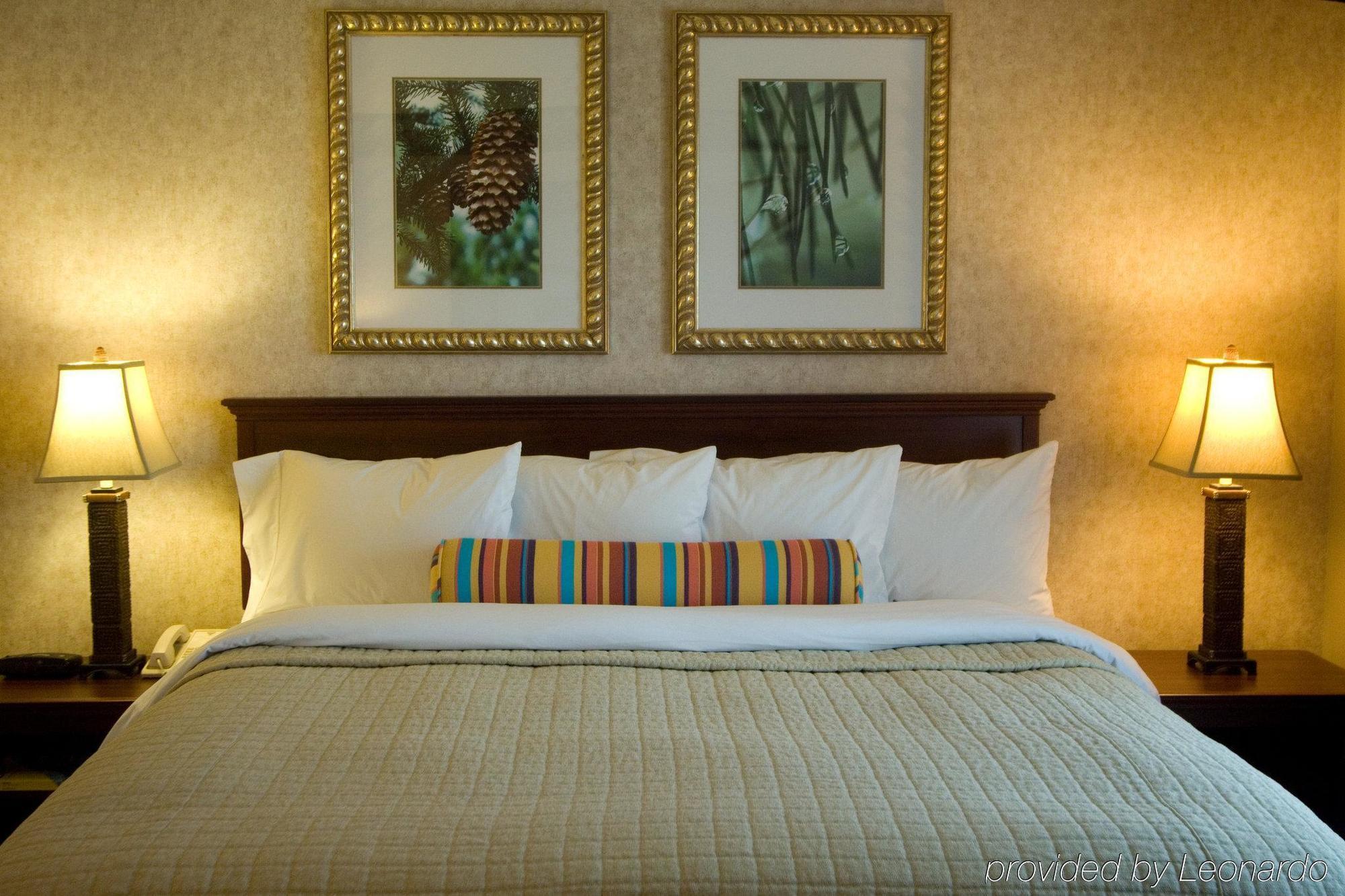 Phoenix Inn Suites Albany Chambre photo